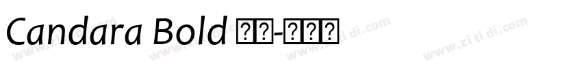 Candara Bold 粗体字体转换